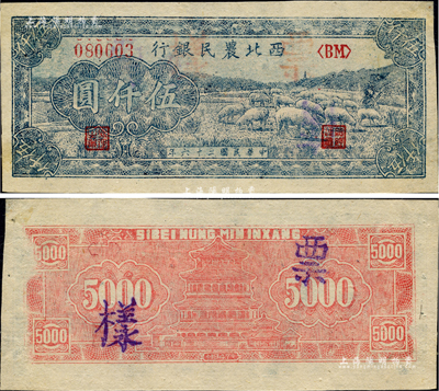 民国三十六年（1947年）西北农民银行蓝色牧羊图伍仟圆，正票改作票样，背面微有档案揭薄痕迹，未折九成新