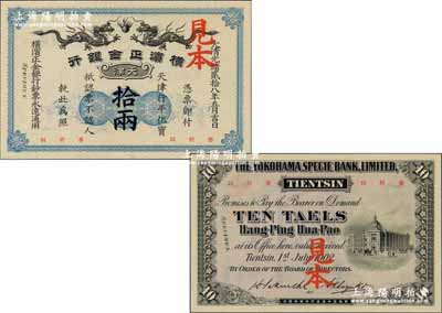 大清光绪贰拾八年（1902年）横滨正金银行·天津行平化宝拾两见本，天津地名；前辈名家出品，珍罕，全新