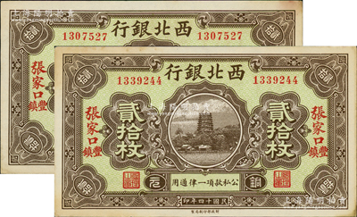 民国十四年（1925年）西北银行铜元贰拾枚共2枚，张家口·丰镇地名；资深藏家出品，未折九至九五成新