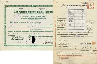 1941年Tebong(地傍)橡胶种植园公司股票，面额1000股，票上注明在Shanghai(上海)发行；该公司注册于香港，曾是1908年上海“橡皮股票风潮”中的罪魁祸首之一，在史料中有记录；附带有1951年股票过户书1张，少见，有注销孔，七成新
