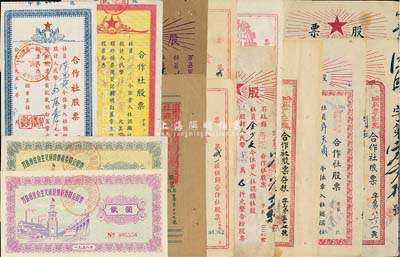 四川合作社等股票共13种，详分：重庆市第二渔业生产合作社筹备委员会股票1951年一股计叁拾叁万柒仟元；忠县四区供销合作社股票1952年壹股计叁万元；官坝乡供销合作社股票1952年壹股计贰万元2枚，其中1枚附存根；石柱县西沱合作社股票1954年贰万元；奉节县城一区供销合作社股票1952年壹股计叁元、贰股计陆元、1955年壹股计叁元；(川西)合作社股票1952年肆万元；(西康)合作