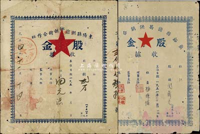 浙江老股票2种，详分：1951年兰溪县诸葛供销合作社股金收据，股额贰万元；1954年东阳县湖沧乡供销合作社股金收据，股额贰万元；六至七成新
