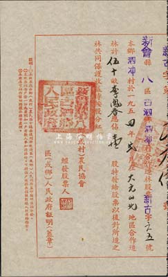 1954年新会县八区古泗乡泗冲村合作造林股票，合作造林50亩计壹股，此种农民协会股票甚是特殊，八成新