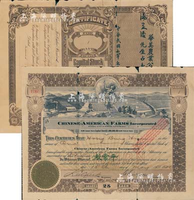 1920年华美农业公司股票，面额平常股壹股（计美金二十五圆），由广东华侨在旧金山发行，背印中文，少见，有小破损，六成新