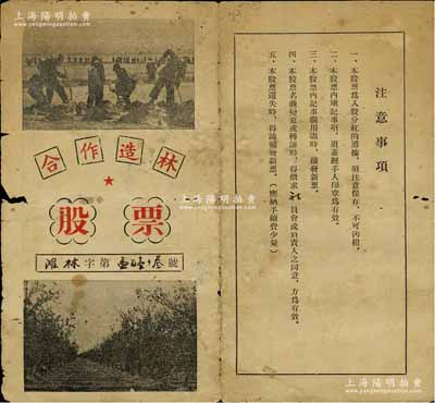 1952年（滨州黄河滩）合作造林股票，面额壹股，其上老照片图颇具时代特色，近七成新
