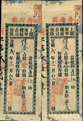 宣统贰年（1910年）上园东华种植公司（股份）收条共2种不同，详分：特别股壹份第壹期本银贰毫伍仙、普通股壹拾份第壹期本银五员，此特别股即为优先股（每股按0.25元），而普通股则按每股0.5元计数；广东佛山地区老股票，少见，有蛀孔及贴补，六成新