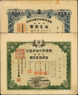 台湾老股票2种，详分：1919年台湾电力...