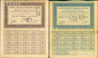1928年安美农业和林业公司股票共2种不同，分别为创始人优先股1股、普通股1股（每股10元），其中1枚票上盖有中文戳记，属广东华侨在法属印度支那（即越南河内）发行；法国著名藏家出品，少见，八成新