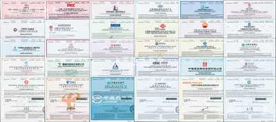 2020年世界500强排名的中国公司股票共30种不同，内含：中国石化(第2名)、中国石油(第4名)、中国建筑(第18名)、中国平安保险(第21名)、中国工商银行(第24名)、中国建设银行(第30名)、中国农业银行(第35名)、中国银行(第43名)、中国人寿保险(第45名)、中国铁建(第54名)、中国海洋石油(第64名)、中国移动(第65名)、中国交通建设(第78名)、东风汽车集