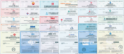 2020年世界500强排名的中国公司股票共30种不同，内含：中国石化(第2名)、中国石油(第4名)、中国建筑(第18名)、中国平安保险(第21名)、中国工商银行(第24名)、中国建设银行(第30名)、中国农业银行(第35名)、中国银行(第43名)、中国人寿保险(第45名)、中国铁建(第54名)、中国海洋石油(第64名)、中国移动(第65名)、中国交通建设(第78名)、东风汽车集