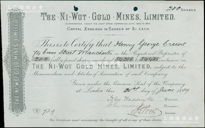清代1889年尼沃特金矿有限公司股票，面...